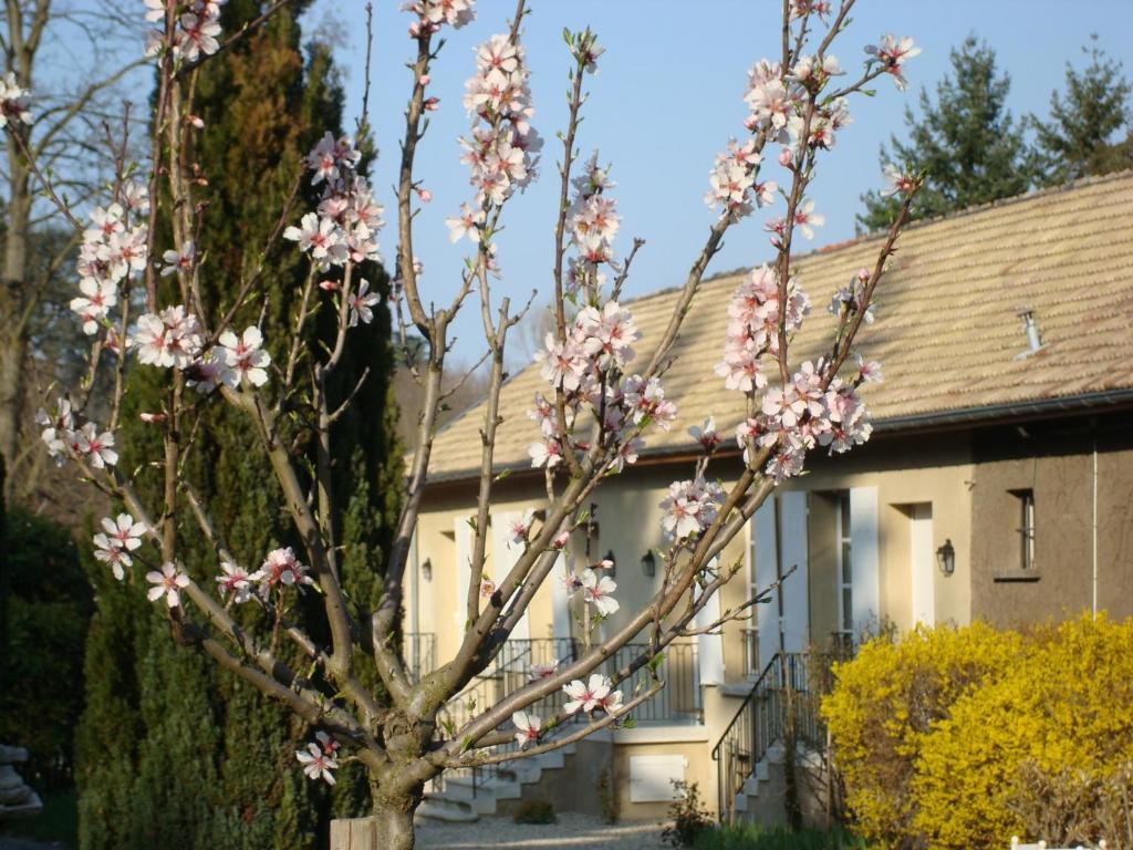 Les Communs Du Manoir Apartment Écully Exterior foto