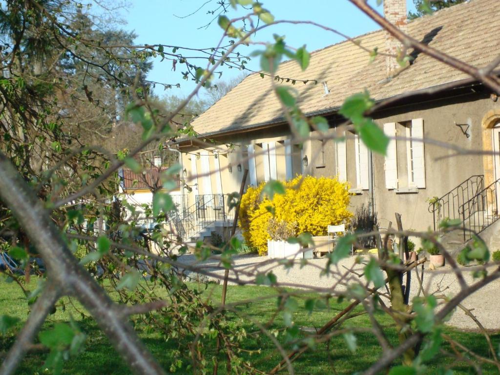 Les Communs Du Manoir Apartment Écully Exterior foto