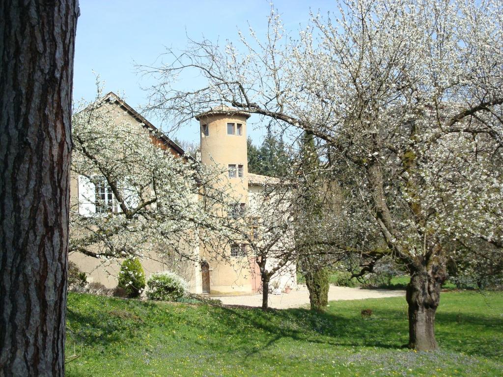 Les Communs Du Manoir Apartment Écully Exterior foto