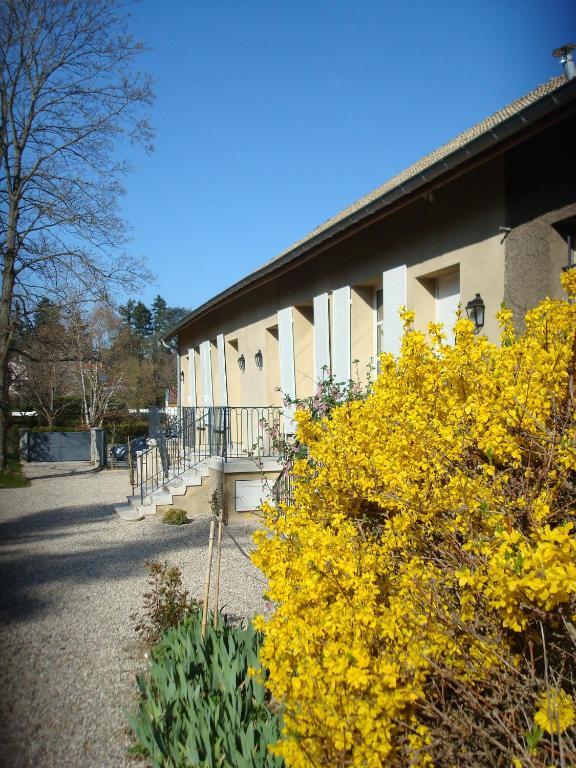Les Communs Du Manoir Apartment Écully Exterior foto