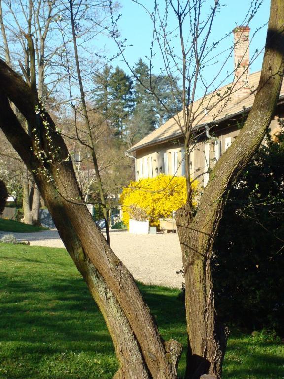 Les Communs Du Manoir Apartment Écully Exterior foto